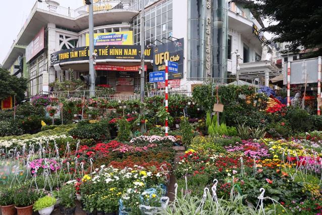 Tet atmosphere flows over flower markets  - Ảnh 3.