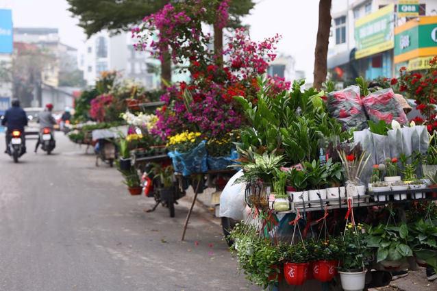 Tet atmosphere flows over flower markets  - Ảnh 6.