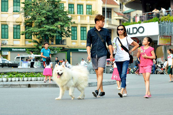 No pets to Hoan Kiem walking zone from May 27 - Ảnh 1.