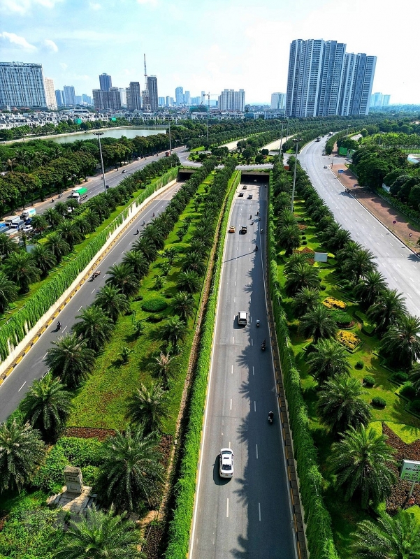 Capital plants 250,000 trees along urban road  - Ảnh 5.