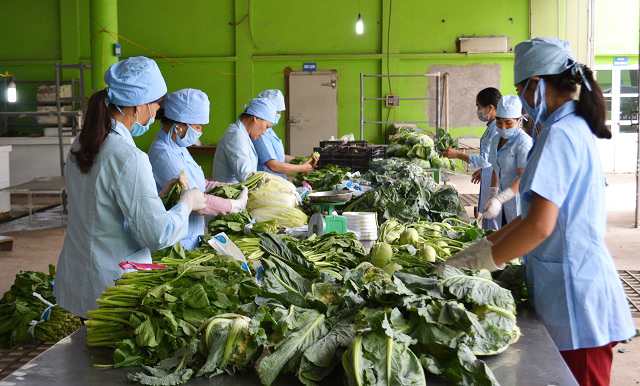 Capital targets to become processed goods export hub - Ảnh 1. Capital targets to become processed goods export hub - Ảnh 1.