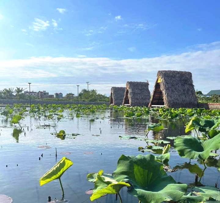 Phú Thọ Xây dựng và phát triển sản phẩm du lịch sinh thái cộng đồng vườn  Quốc gia Xuân Sơn  Môi trường Du lịch