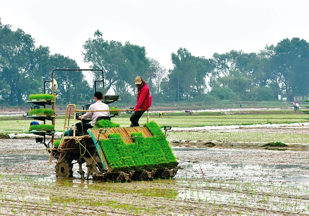 Cơ giới hóa trong nông nghiệp: Hướng đi tất yếu  - Ảnh 1.