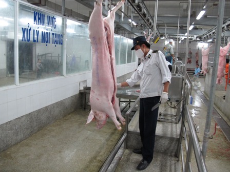 Tập trung phát triển chăn nuôi góp phần khôi phục kinh tế Thủ đô - Ảnh 1. Tập trung phát triển chăn nuôi góp phần khôi phục kinh tế Thủ đô - Ảnh 1.