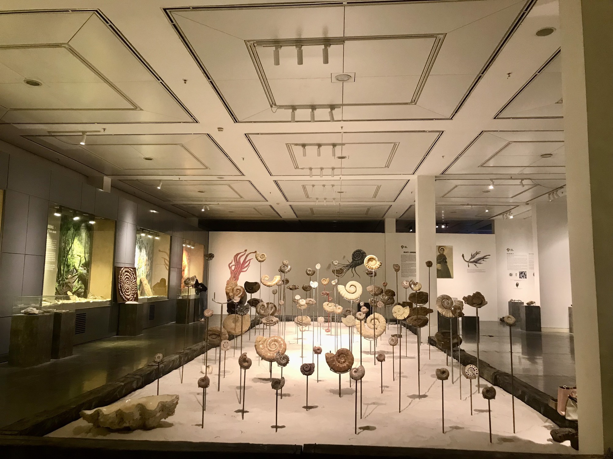 Khai mạc chuỗi trưng bày tôn vinh giá trị di sản văn hóa Hà Nội- Ảnh 3.