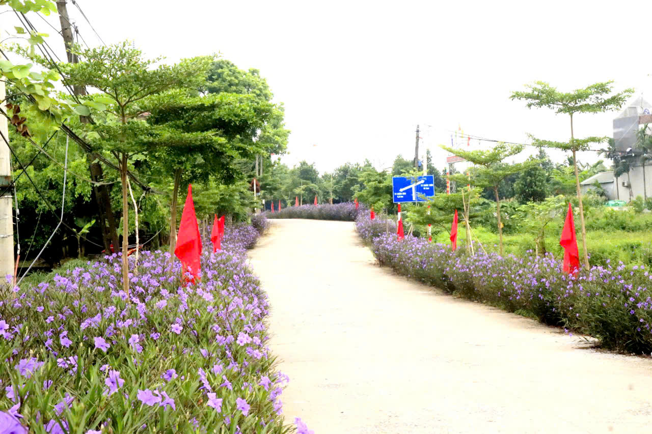 Chuyển mình sau gần 15 năm xây dựng nông thôn mới