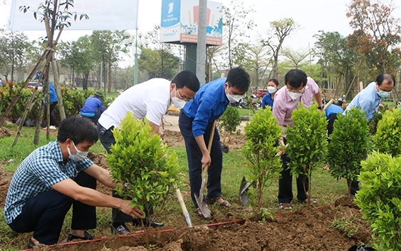Hội Nông dân Hà Nội phấn đấu trồng thêm 30.000 cây xanh- Ảnh 1.