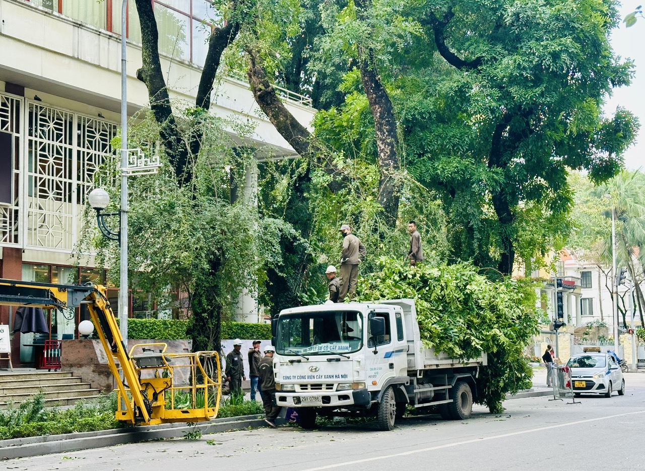Cắt tỉa cây xanh bảo đảm an toàn mùa mưa bão