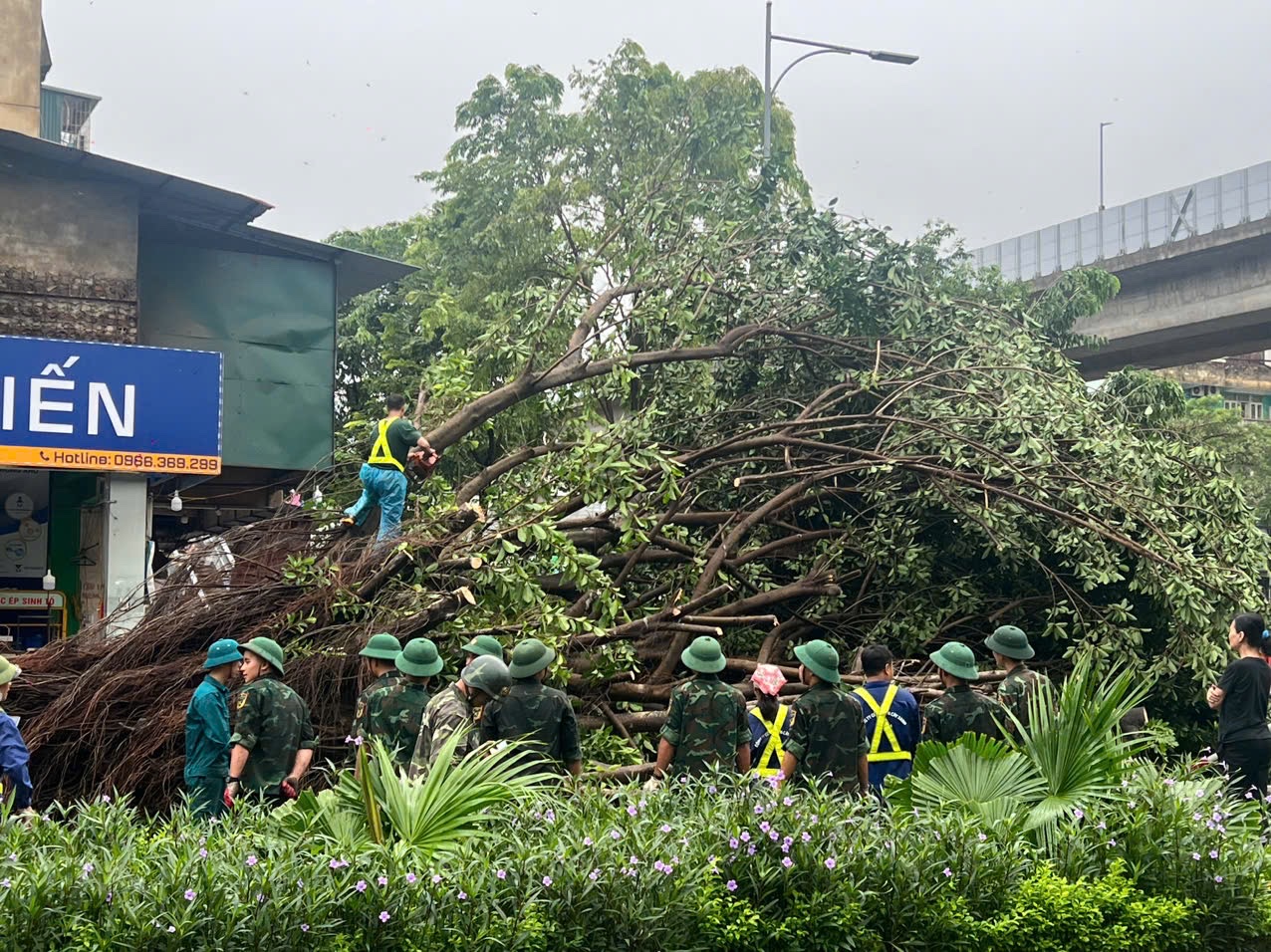 Bí thư Hà Nội: Không để thiếu thực phẩm, thuốc men, vật tư y tế- Ảnh 5.