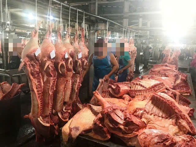 Hà Nội tổng kiểm tra các cơ sở giết mổ để bảo đảm an toàn thực phẩm và dịch bệnh- Ảnh 1. Hà Nội tổng kiểm tra các cơ sở giết mổ để bảo đảm an toàn thực phẩm và dịch bệnh- Ảnh 1.