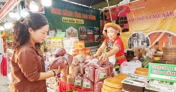 Đưa hàng Việt đến gần hơn với người dân ngoại thành- Ảnh 1. Đưa hàng Việt đến gần hơn với người dân ngoại thành- Ảnh 1.
