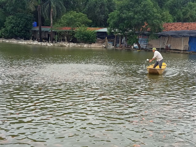 Phát triển chăn nuôi, thủy sản giá trị theo hướng tuần hoàn- Ảnh 1. Phát triển chăn nuôi, thủy sản giá trị theo hướng tuần hoàn- Ảnh 1.