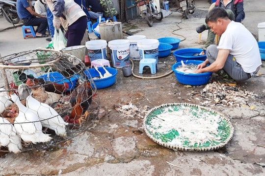 Hà Nội xử lý dứt điểm chợ tự phát và giết mổ nhỏ lẻ trong năm 2025- Ảnh 1. Hà Nội xử lý dứt điểm chợ tự phát và giết mổ nhỏ lẻ trong năm 2025- Ảnh 1.