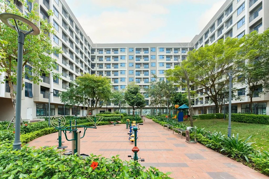 Hướng dẫn lập kế hoạch quản lý cây xanh cho chung cư – tòa nhà.