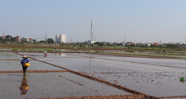 Chủ động chuẩn bị lấy nước đợt 2 gieo cấy lúa vụ xuân 2026- Ảnh 1. Chủ động chuẩn bị lấy nước đợt 2 gieo cấy lúa vụ xuân 2026- Ảnh 1.