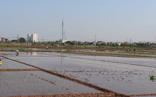 Chủ động chuẩn bị lấy nước đợt 2 gieo cấy lúa vụ xuân 2026