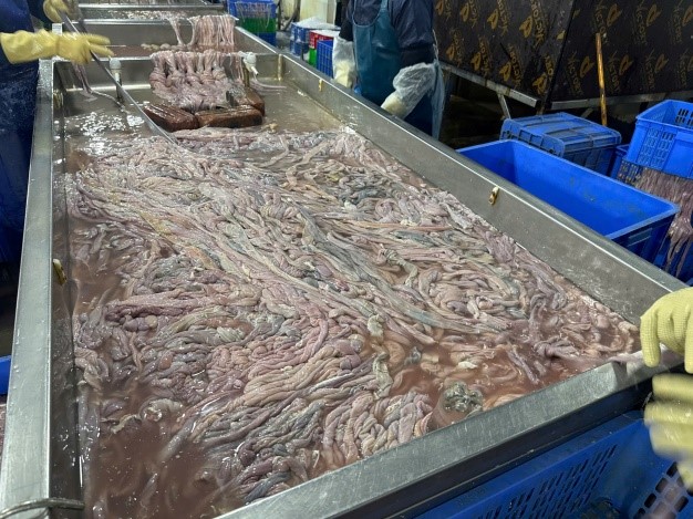 Phát hiện cơ sở trữ, chế biến hàng chục tấn lòng lợn không rõ nguồn gốc- Ảnh 1.