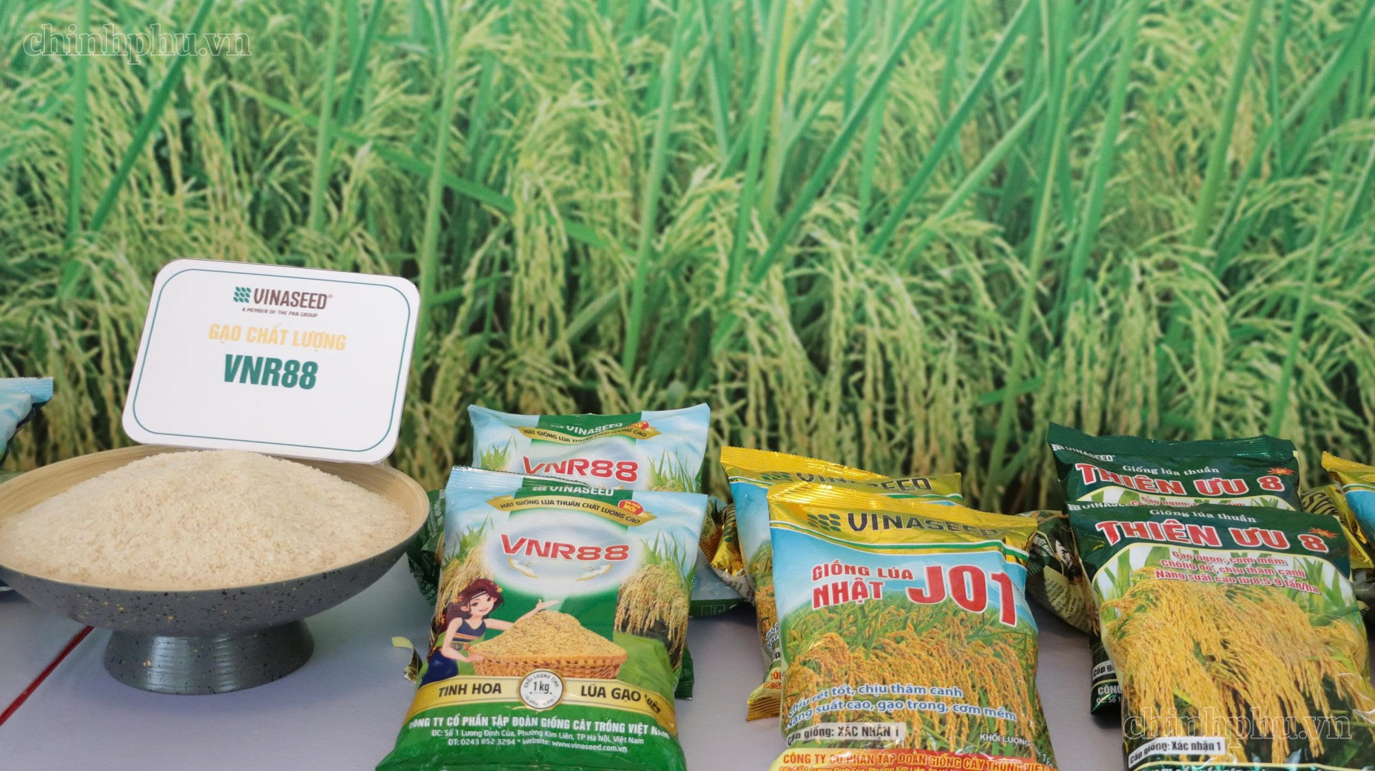 Bảo đảm nguồn cung nông sản, thực phẩm thiết yếu- Ảnh 1.