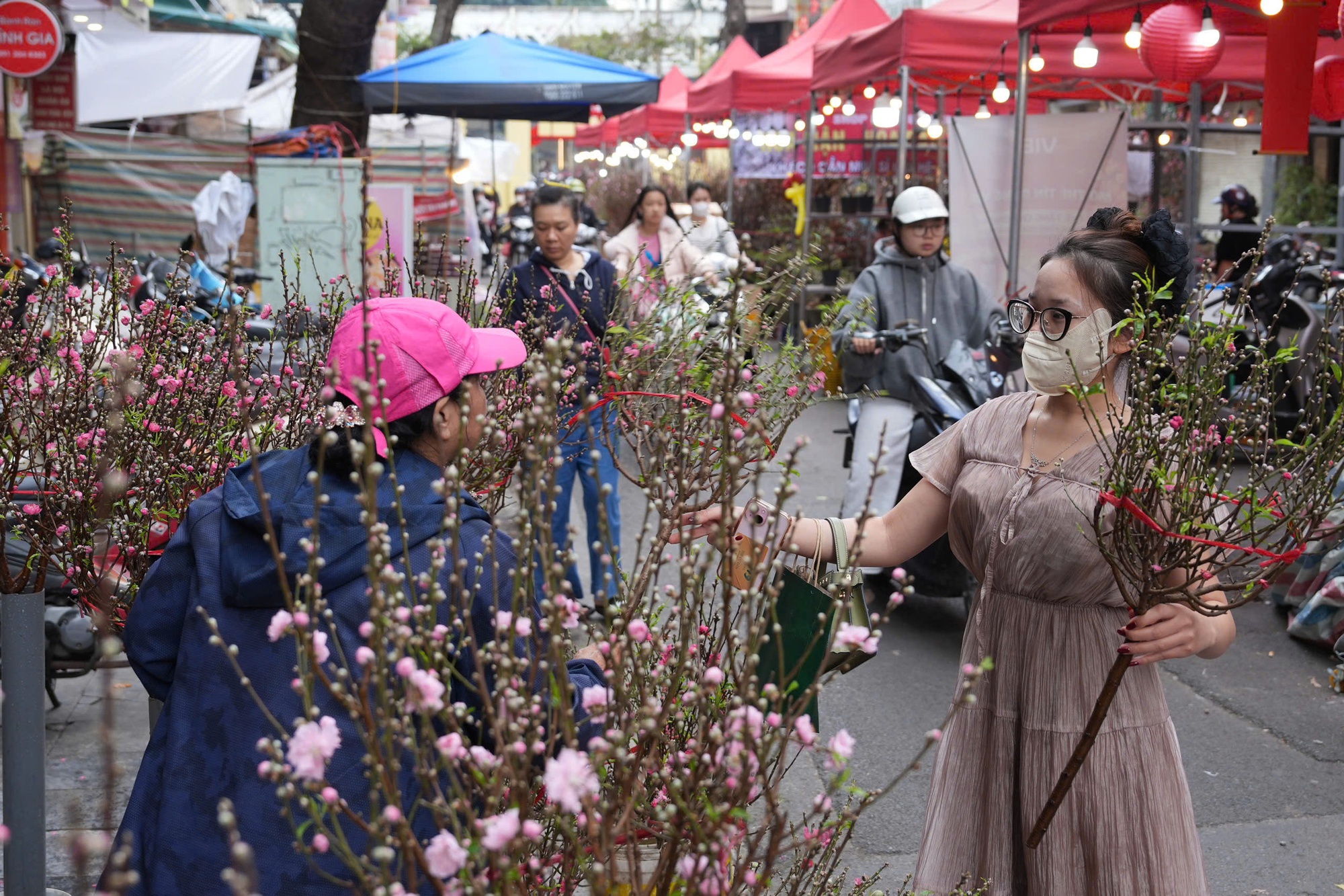 Rực rỡ sắc hoa xuân đón Tết - Ảnh 1. Rực rỡ sắc hoa xuân đón Tết - Ảnh 1.