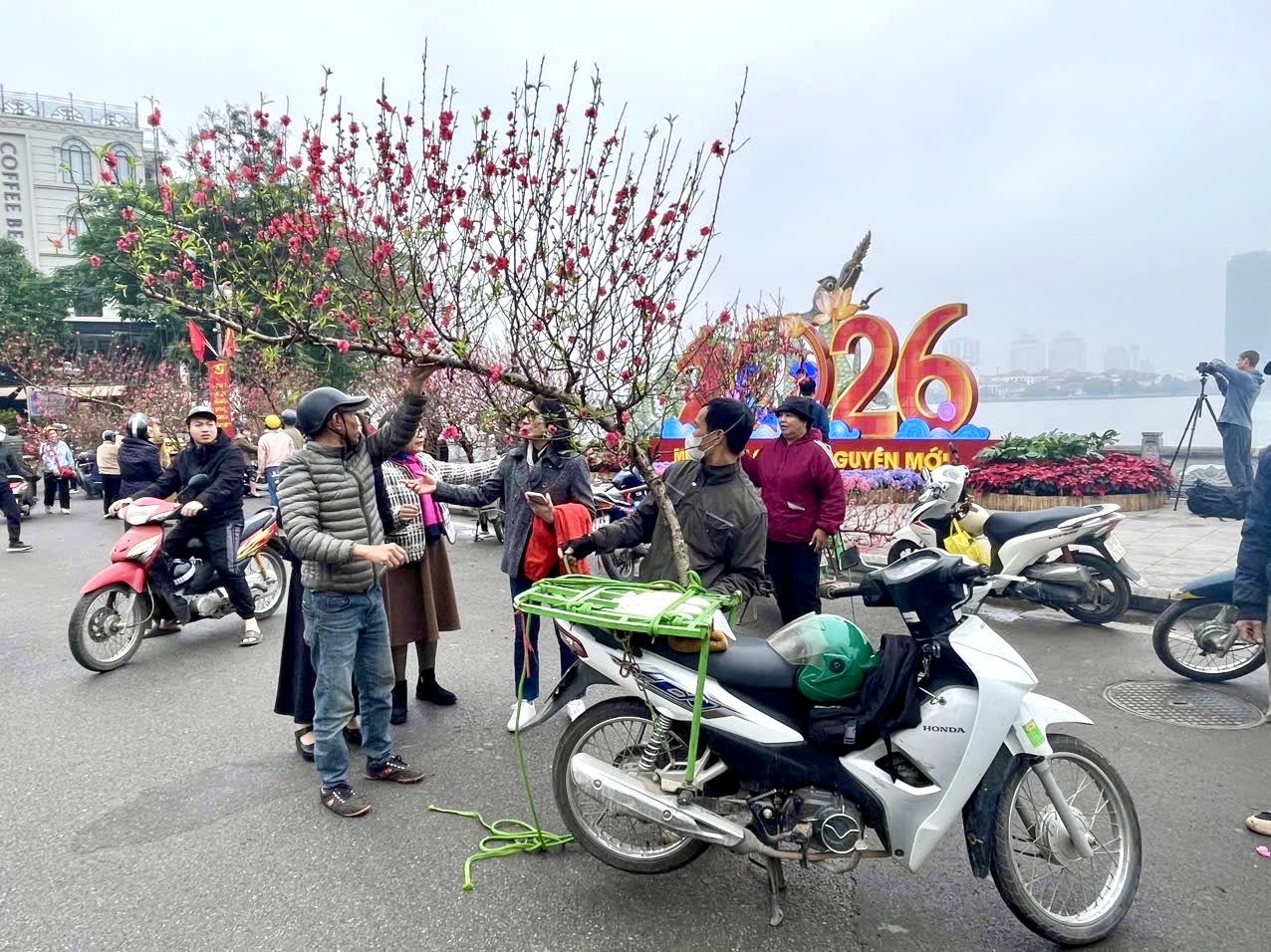 Rực rỡ sắc hoa xuân đón Tết - Ảnh 9. Rực rỡ sắc hoa xuân đón Tết - Ảnh 9.