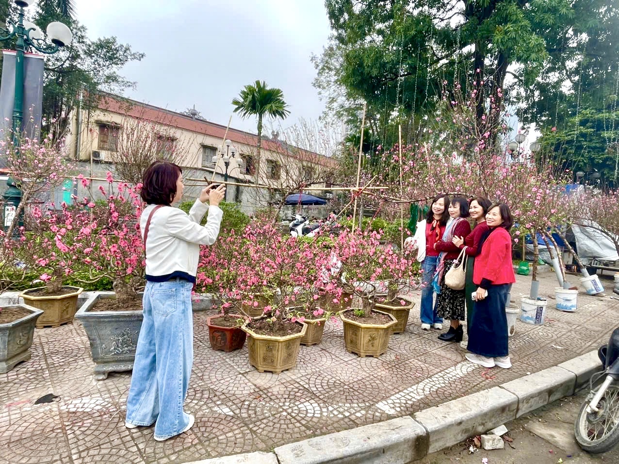 Rực rỡ sắc hoa xuân đón Tết - Ảnh 5. Rực rỡ sắc hoa xuân đón Tết - Ảnh 5.