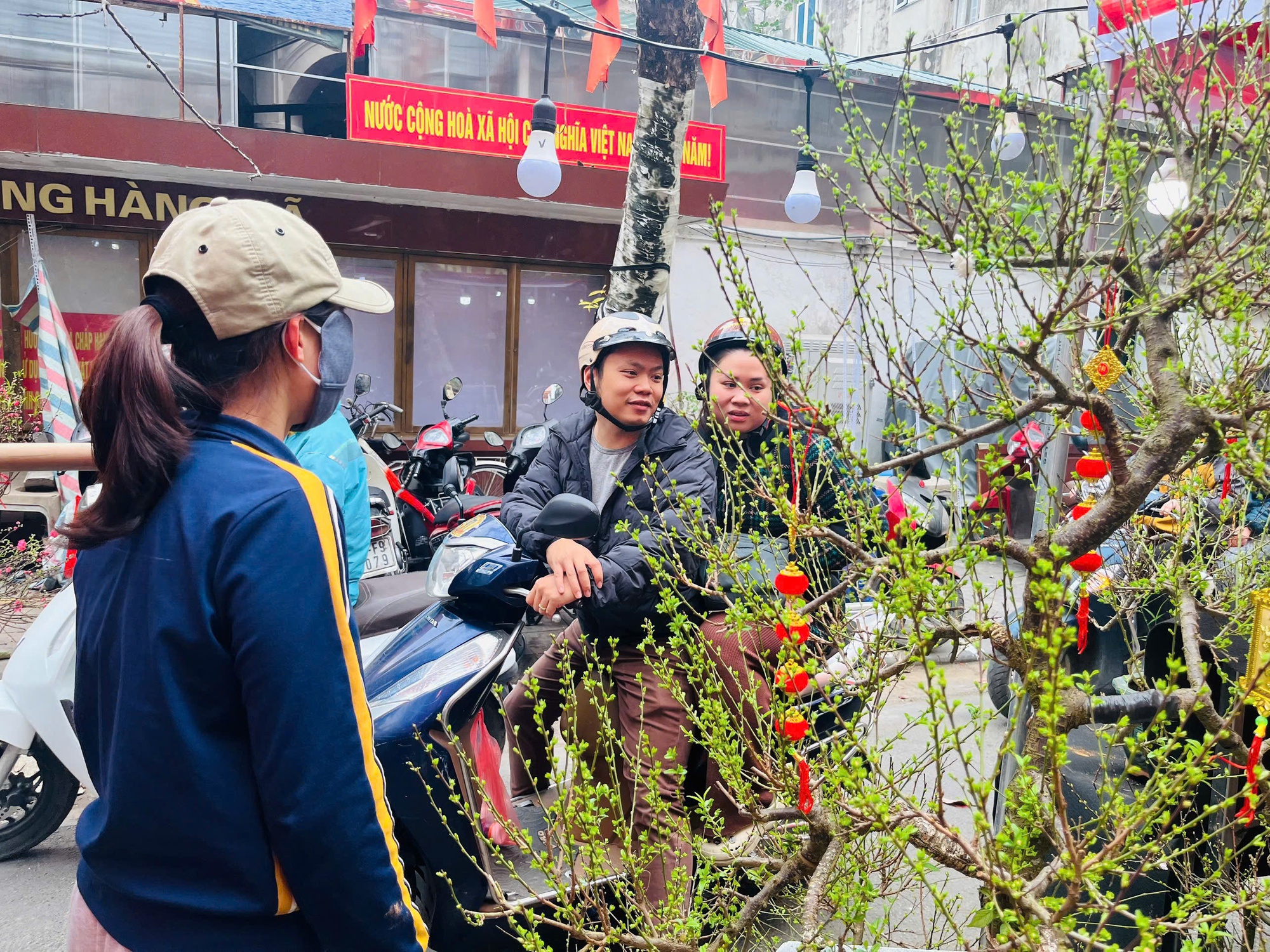 Rực rỡ sắc hoa xuân đón Tết - Ảnh 8. Rực rỡ sắc hoa xuân đón Tết - Ảnh 8.