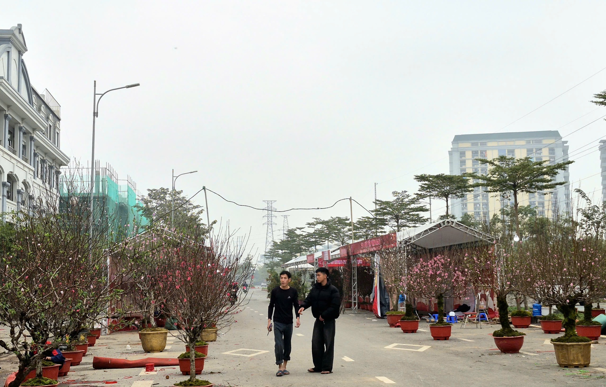 Sắc xuân lan tỏa từ vườn hoa đến phố thị- Ảnh 2.