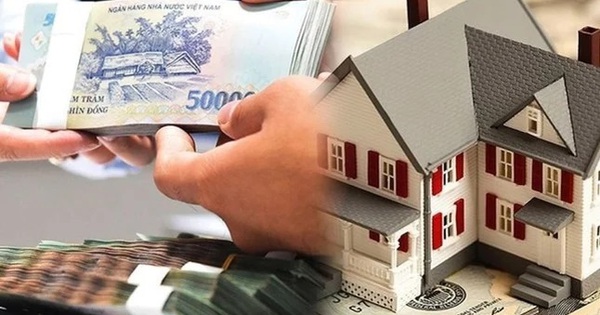 Hộ, cá nhân cho thuê bất động sản phải nộp những loại thuế nào?- Ảnh 1.