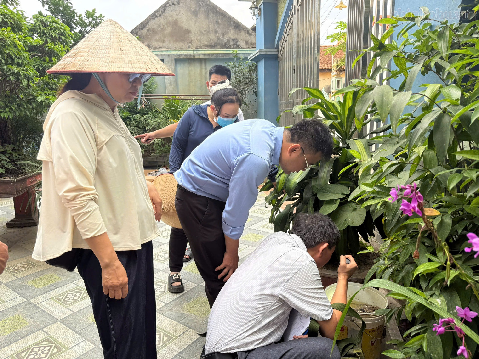 Phòng dịch sốt xuất huyết Dengue từ chủ động vệ sinh môi trường- Ảnh 1.