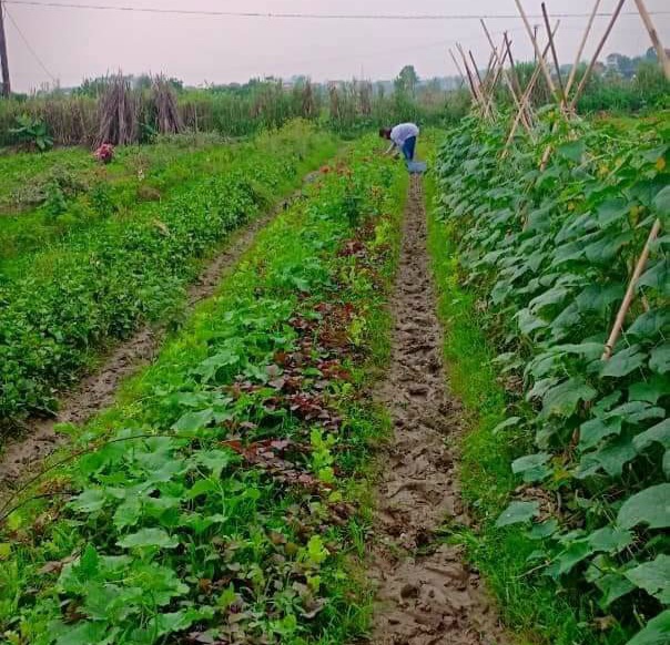 Siết chặt an toàn thực phẩm từ nguồn gốc đến quản lý chợ đầu mối- Ảnh 1. Siết chặt an toàn thực phẩm từ nguồn gốc đến quản lý chợ đầu mối- Ảnh 1.