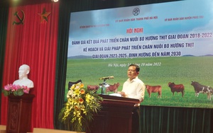 Ứng dụng công nghệ, nâng cao chất lượng chăn nuôi bò thịt, bò sinh sản