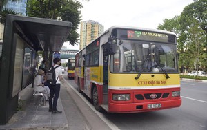 Từng bước phục hồi hoạt động xe buýt Thủ đô