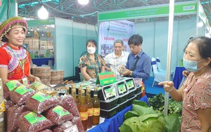 Hà Nội tổ chức chương trình xúc tiến sản phẩm OCOP, làng nghề Chào Xuân 2023
