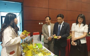 Kết nối, xúc tiến xuất khẩu nông sản chính ngạch của Hà Nội và các tỉnh thành