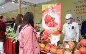 Khai mạc Lễ hội hoa Mê Linh và Festival nông sản OCOP Hà Nội