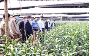 Hà Nội phấn đấu hết năm 2022 có thêm 25 xã đạt chuẩn nông thôn mới nâng cao