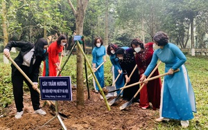 Phụ nữ Thủ đô lan tỏa tinh thần 'Mỗi cơ sở Hội một công trình cây xanh'