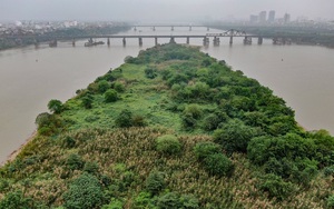 Nhịp sống đối lập ở bãi sông Hồng sát trung tâm Hà Nội