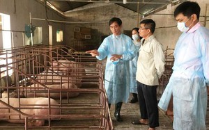 Ngành chăn nuôi Hà Nội: Đón bắt cơ hội từ công nghệ