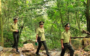 Phối hợp chặt chẽ với các tỉnh giáp ranh để bảo vệ rừng hiệu quả 