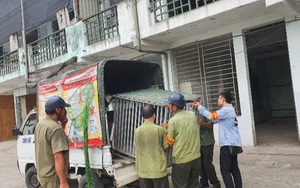 Hưởng ứng Ngày Thế giới phòng chống bệnh dại