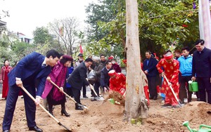 Bí thư Thành ủy Hà Nội phát động Tết trồng cây tại quận Hoàng Mai