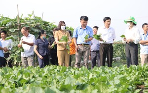 Bảo đảm nguồn cung nông sản an toàn Tết Nguyên đán 2023