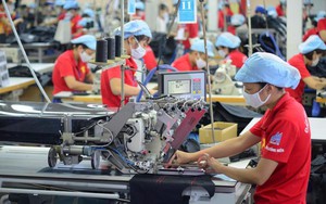 Thị trường lao động Hà Nội có nhiều chuyển động tích cực