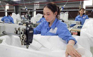 Hà Nội đã giải quyết việc làm cho 27,9 nghìn lao động