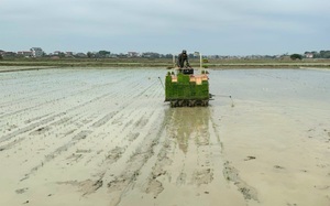 Phát huy vai trò đầu tàu của hệ thống Khuyến nông cả nước