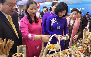 Cơ hội đầu tư, hợp tác kinh doanh giữa doanh nghiệp Hà Nội và Lào