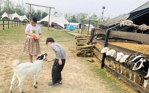Cần đòn bẩy để phát triển du lịch nông nghiệp tại Hà Nội