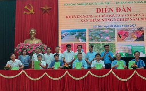 Đẩy mạnh liên kết tiêu thụ sản phẩm nông nghiệp