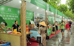 Sắp diễn ra Tuần hàng quảng bá nông sản Hà Nội và các tỉnh, thành phố năm 2023